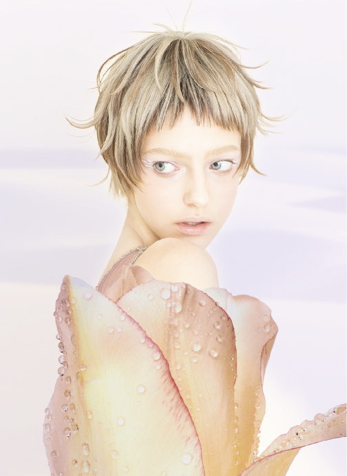 styleGallery