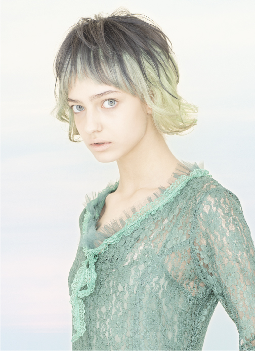styleGallery